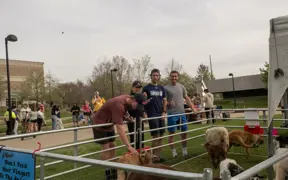 Group of students petting goats at petting zoo.