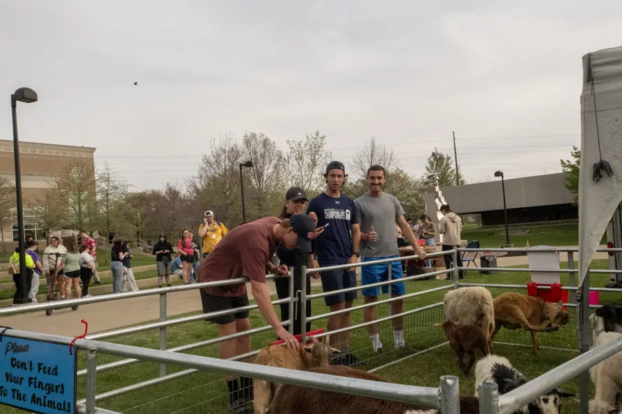 Group of students petting goats at petting zoo.
