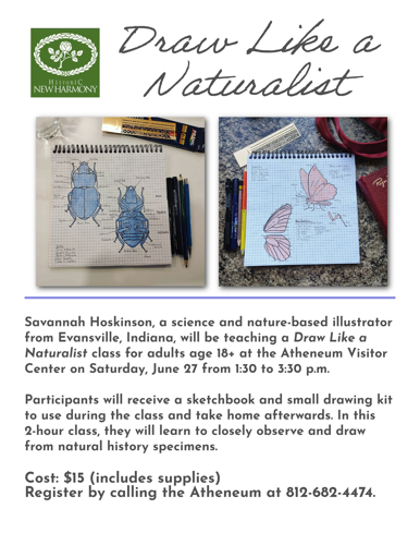 Promotional graphic for a “Draw Like a Naturalist” class featuring two sketchbooks with detailed insect drawings—one with blue beetles and one with moth studies—alongside pens and tools. Text explains the class will be taught by Savannah Hoskinson at the Atheneum Visitor Center on Saturday, June 27 from 1:30 to 3:30 p.m., with materials included and registration information provided.