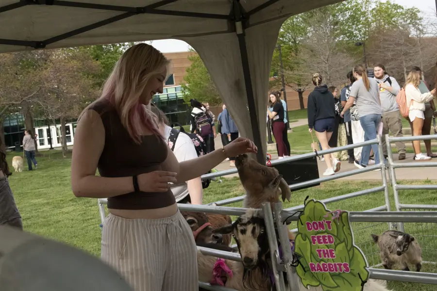 Student petting goat at APB Renaissance Faire Petting Zoo