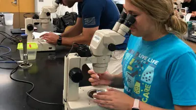 Two students use high-powered microscopes in a science lab