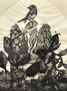 Bird on nest