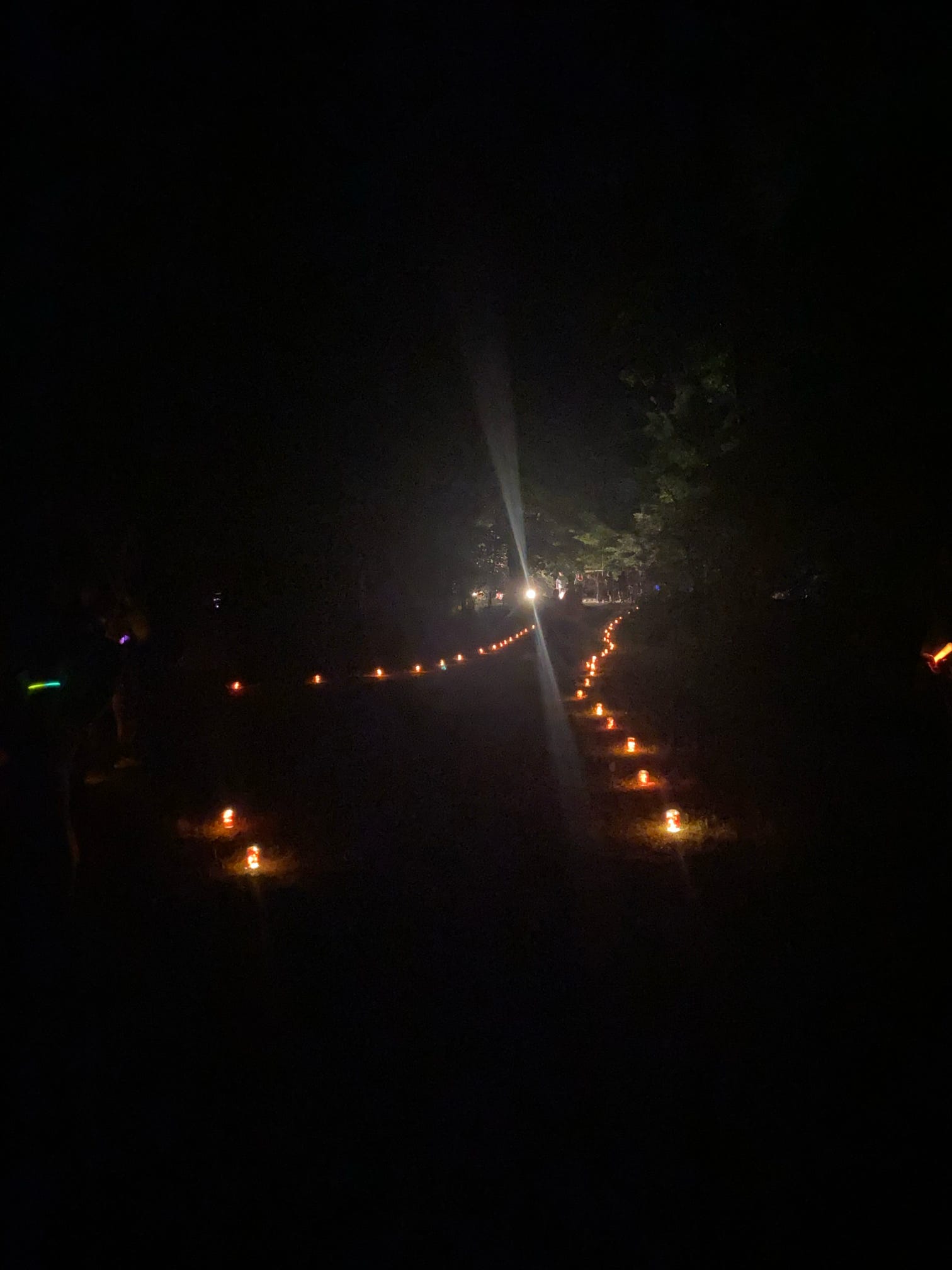 Nighttime pathway lined with small lights leading into the distance.