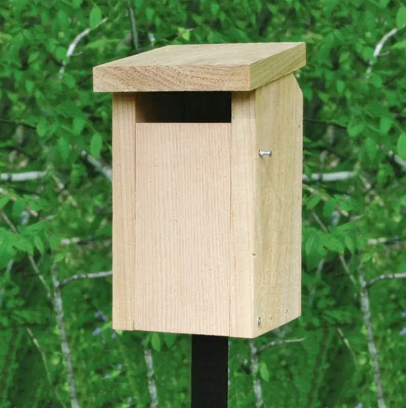 kentucky slot box