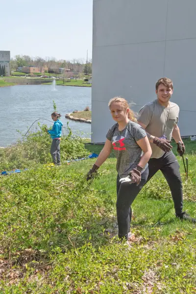 Students pull invasive Japanese Honeysuckle from the Bent Twig Trails at the 2nd Trail Clean Up Weed Wrangle at USI. 
