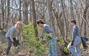 Students cut down invasive multi-flora rose on the Bent Twig Trail at the 2nd Trail Cleanup and Weed Wrangle. 