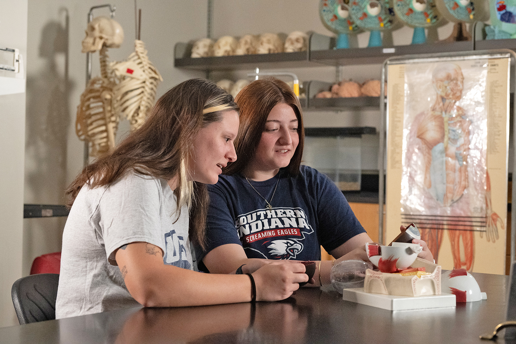 Biology students examine a model of the human eye in a lab