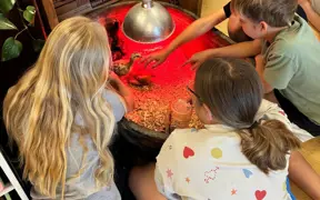 Students tending newly hatched chicks