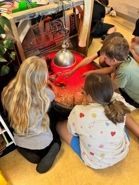 Students tending newly hatched chicks