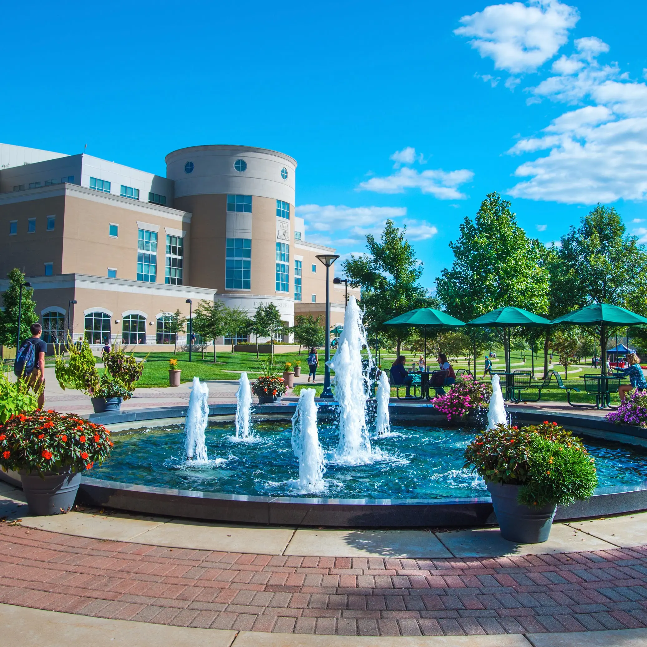 Rice Library with fountain