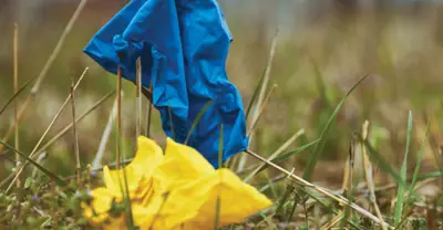 Ukraine Matters 
Dr. Andrew Buck, Associate Professor and Chair of Sociology, talks with alumnus Hans Schneider ‘01 about Fulbright grants, advocacy and why the Russian-Ukraine war should matter to the world.