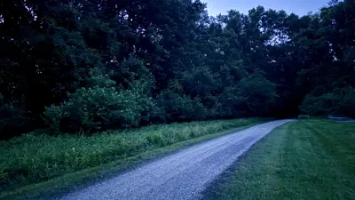 Gravel walking path leading into a wooded area at dusk, bordered by grass and dense trees on both sides under a dim blue evening sky.