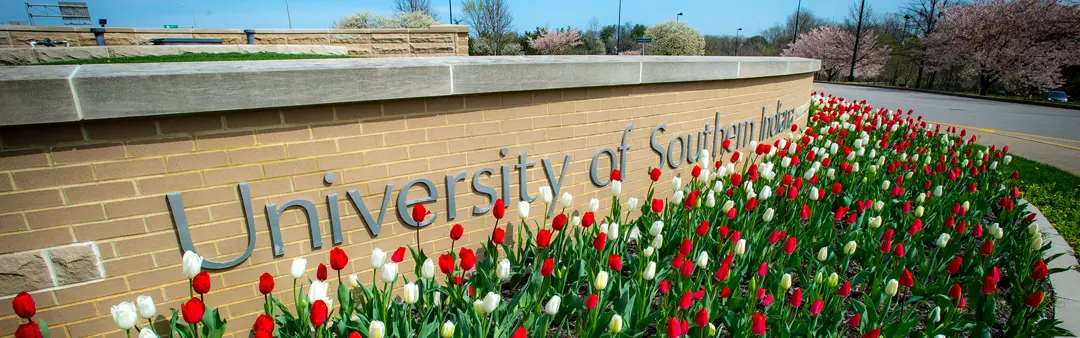 Photo of USI fountain with tulips in bloom