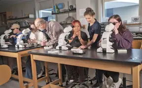 Using petrographic microscopes, geology students examine microscopic cross sections of rocks and minerals.