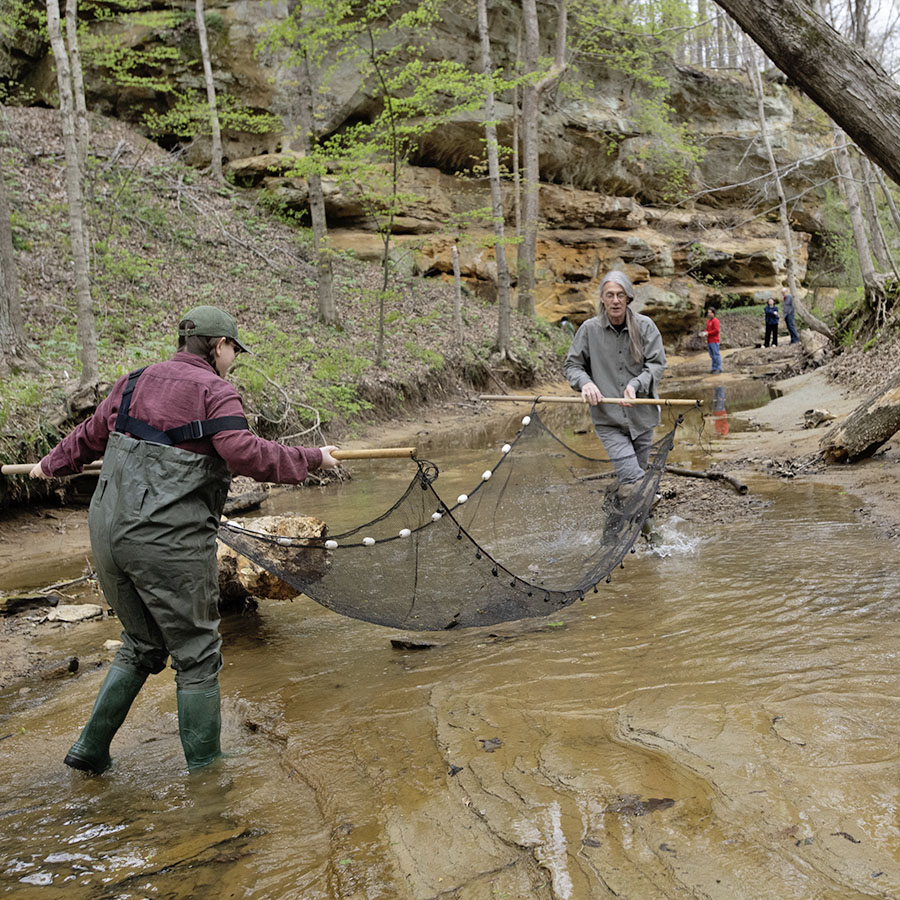 USI faculty and students use a net in a shallow creek on USI campus