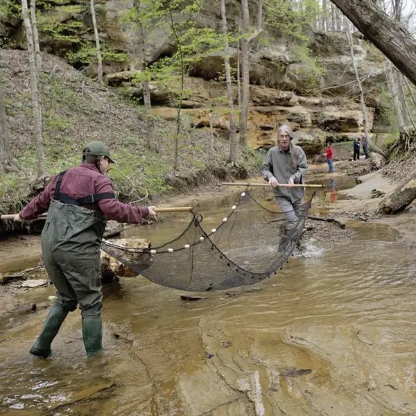 USI faculty and students use a net in a shallow creek on USI campus