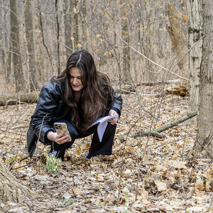 A biology student snaps a photo of a snowdrop found on the Bent Twig Trail for class. 