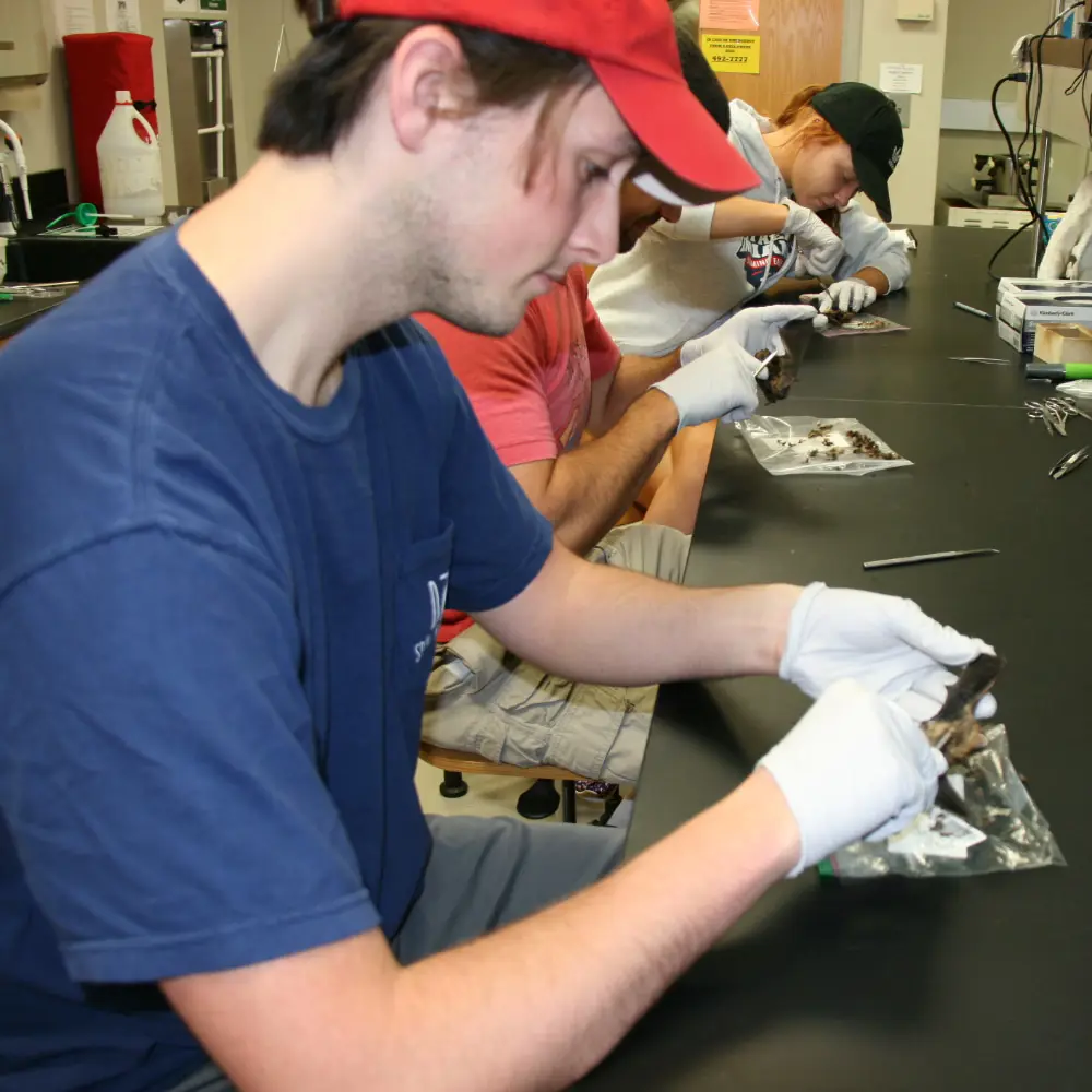 Barnett Research Award