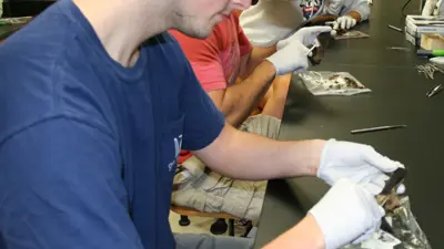 Student inspects a dead bat in the biology lab