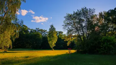 Photo of Disc Golf course with grass and sunlight