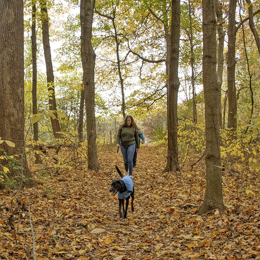 A student walks her dog down the lakeside trails on a fall day. 