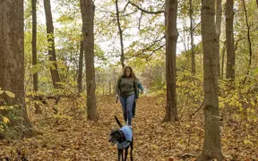 A student walks her dog down the lakeside trails on a fall day. 