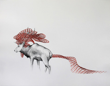 Deer with netting