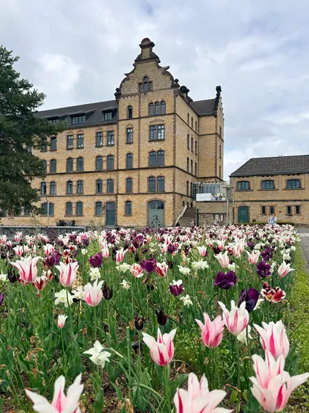 Photo of building with tulips blooming