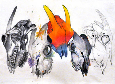 Evolution of a Goat’s Death, Livia Alexander, mixed media, 2017