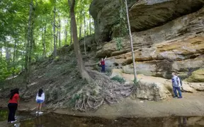 Students explore the creek bed and sand stone cliffs on the south east side of USI's Trails. 