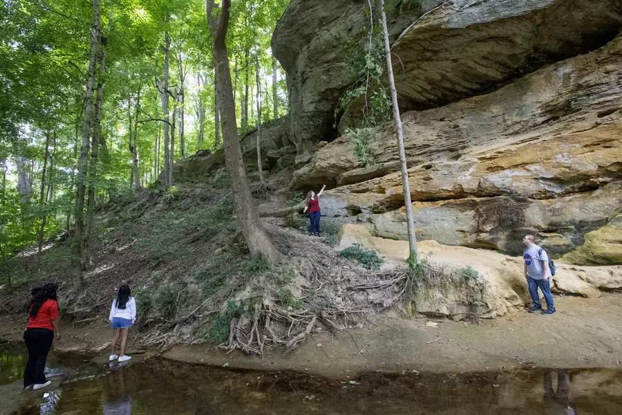 Students explore the creek bed and sand stone cliffs on the south east side of USI's Trails. 