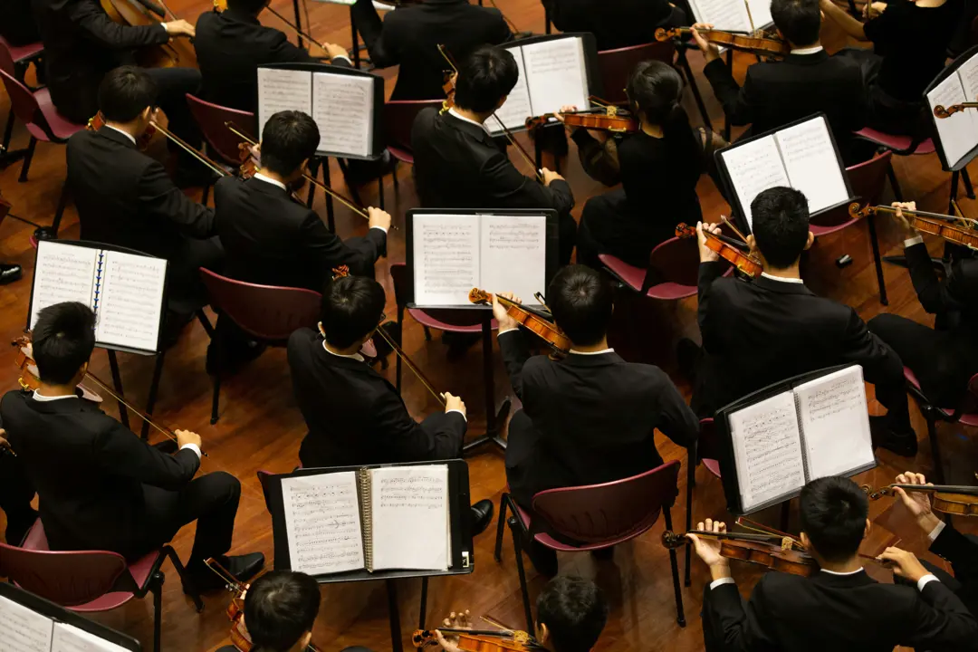 Orchestra players