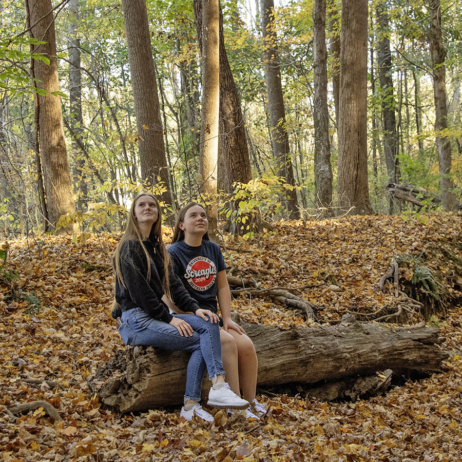 Students sit on a log as they look at the fall foilage on the USI Trails. 