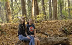 Students sit on a log as they look at the fall foilage on the USI Trails. 
