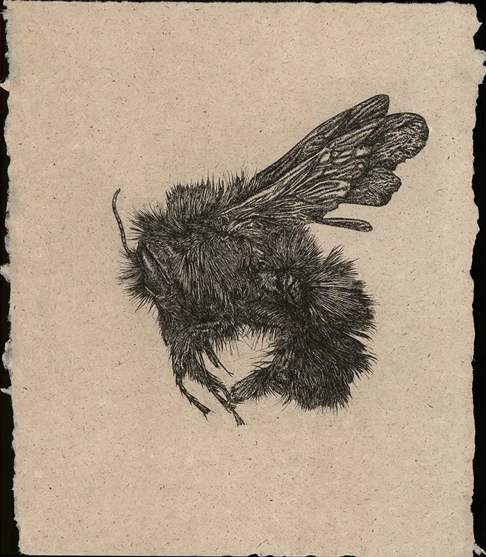 Future/Past/Presence: The 2025 New Harmony Print Exchange