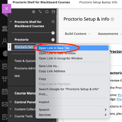 Screenshot of Opening in New Tab