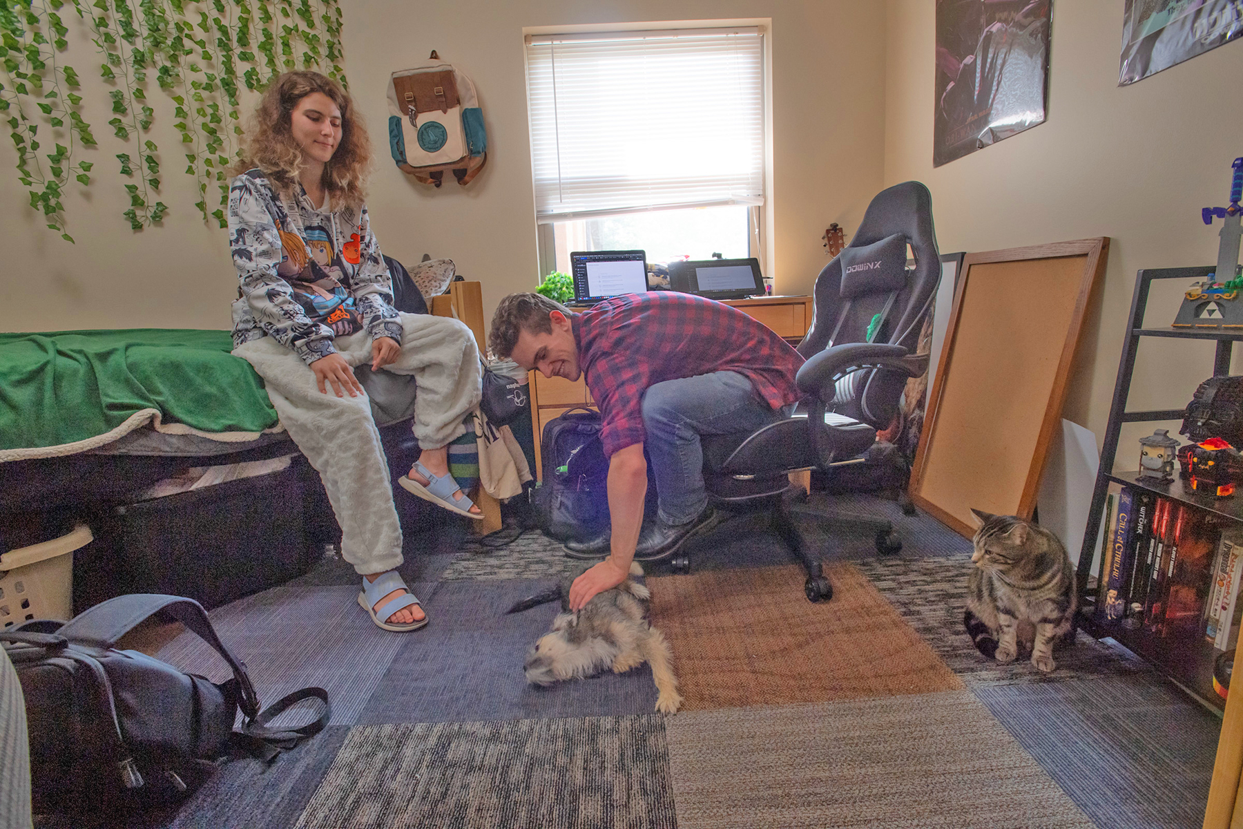 A student leans over to pet his friend's small dog in his campus room, while his cat looks on. 