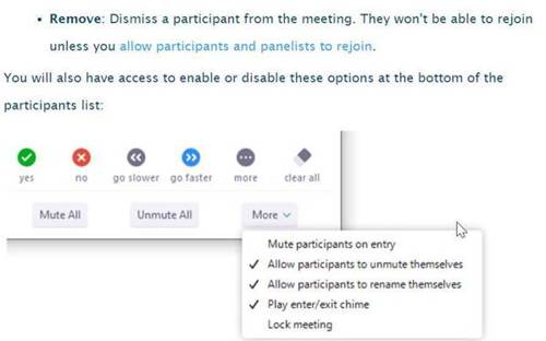 Participant Options in Zoom