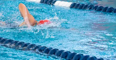 The Recipe for Success