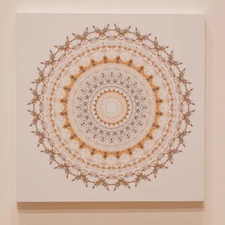13 Resonance, digital print on canvas, 2016