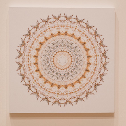 13 Resonance, digital print on canvas, 2016