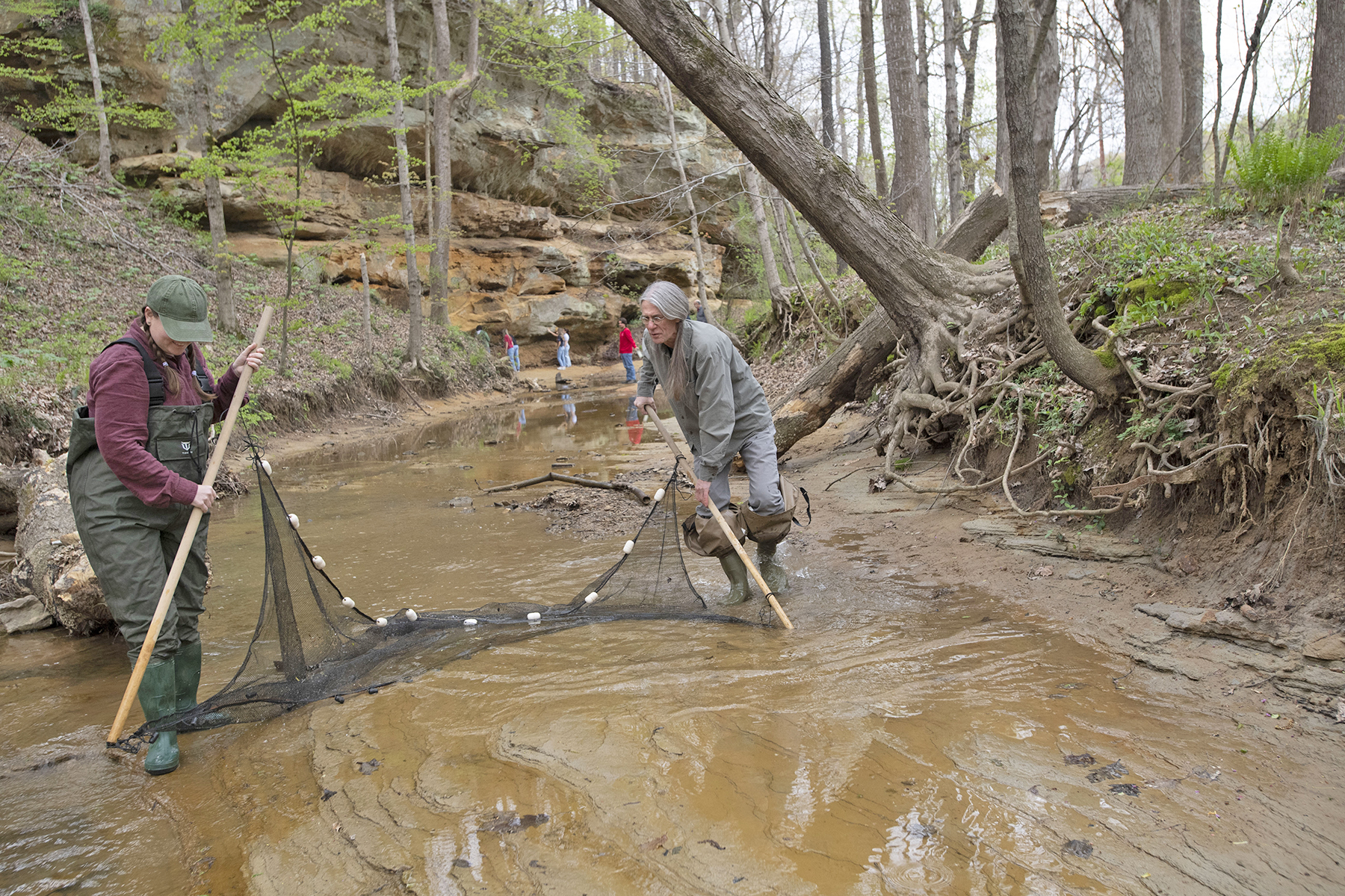 Biology student and professor use a net to catch small fish in a stream for a Biology lab