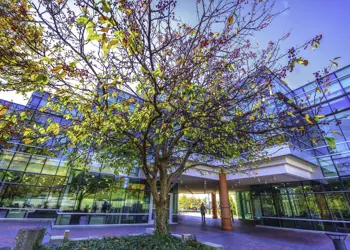 Fall bloom tree in front of University Center