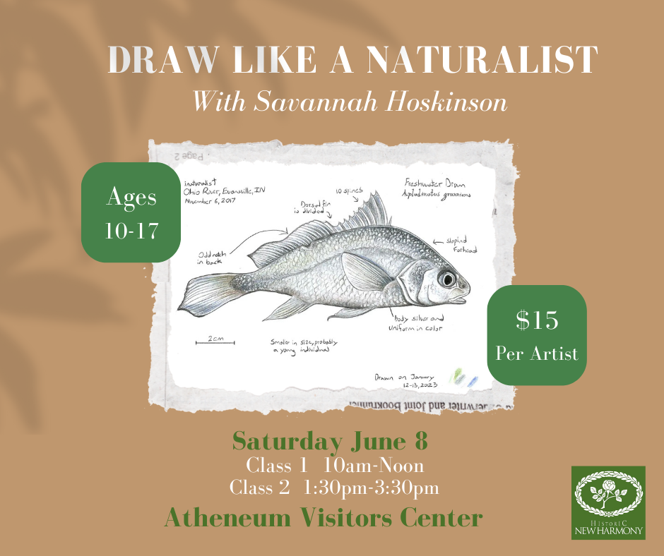 Promotional poster showing a fish illustration with text including “Ages 10–17” and “$15 per artist.”
