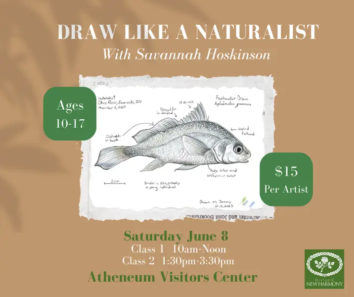 Promotional poster showing a fish illustration with text including “Ages 10–17” and “$15 per artist.”