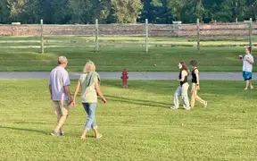 People walking and playing on a grassy field with trees and a fence in the background.