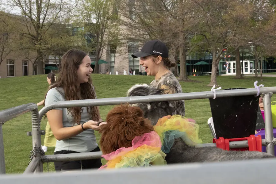Two students talking and interacting with animals at petting zoo.