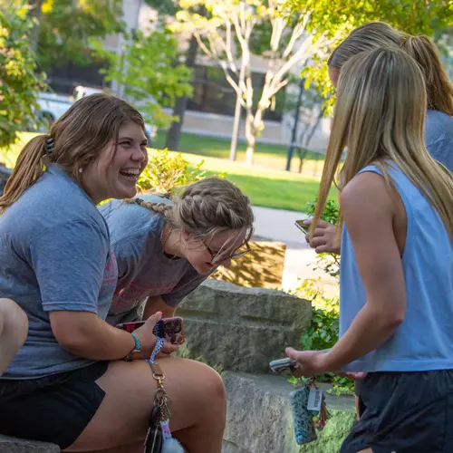 Exploring Your Options