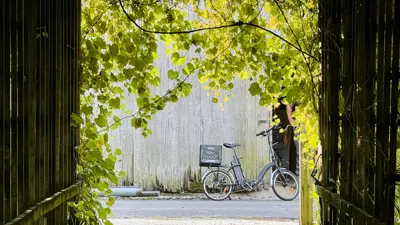 A vine-covered wooden trellis frames a shaded walkway, opening onto a sunlit street where a bicycle is parked in front of a weathered wooden wall. Leaves and branches drape across the top and sides of the structure, creating a natural archway, while a person stands partially visible near the bicycle in the background.