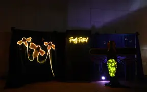 Dark outdoor display with glowing firefly lights and illuminated artwork.